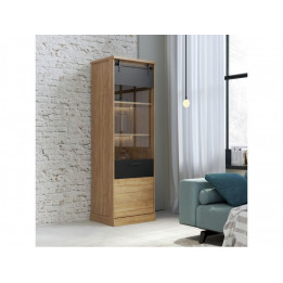 Vitrina alta de 63x198 cm